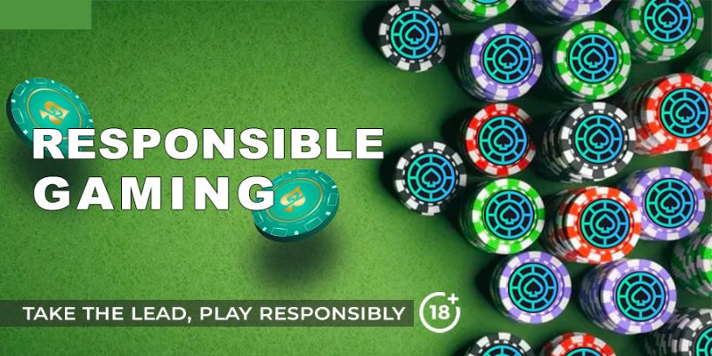 Responsible gaming at pocket52